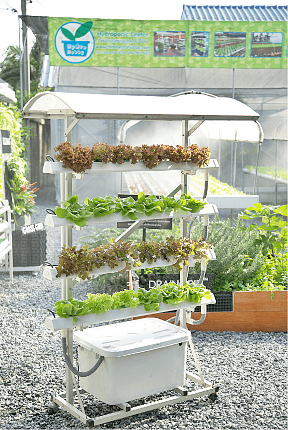 ชุดอุปกรณ์ปลูกผักไฮโดรโปนิกส์ HYDROHOBBY VR 1 เมตร 4 รางปลูก